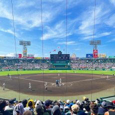 夏、久々の聖地へ