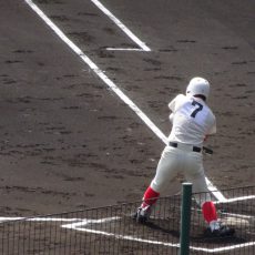 今年も来たぜ、この季節⚾🌸