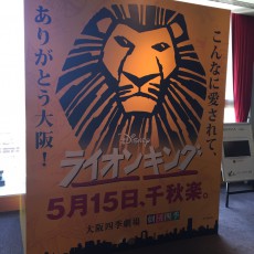 お客様が出演されてるライオンキングを観にいきました