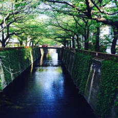 おかぴ東京ぶらり旅編