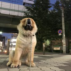 ８月スタイリスト公休日のお知らせ🍉