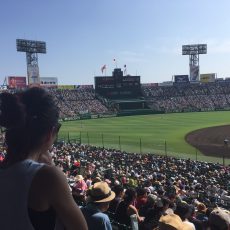 私の夏はここで初まりここで終わる。